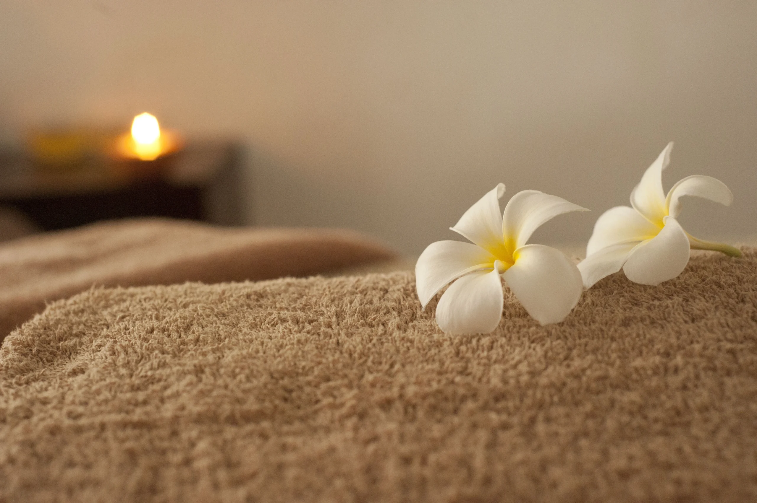 Deep tissue massage treatment at Amore Luxury Spa in Sector 8C Chandigarh.