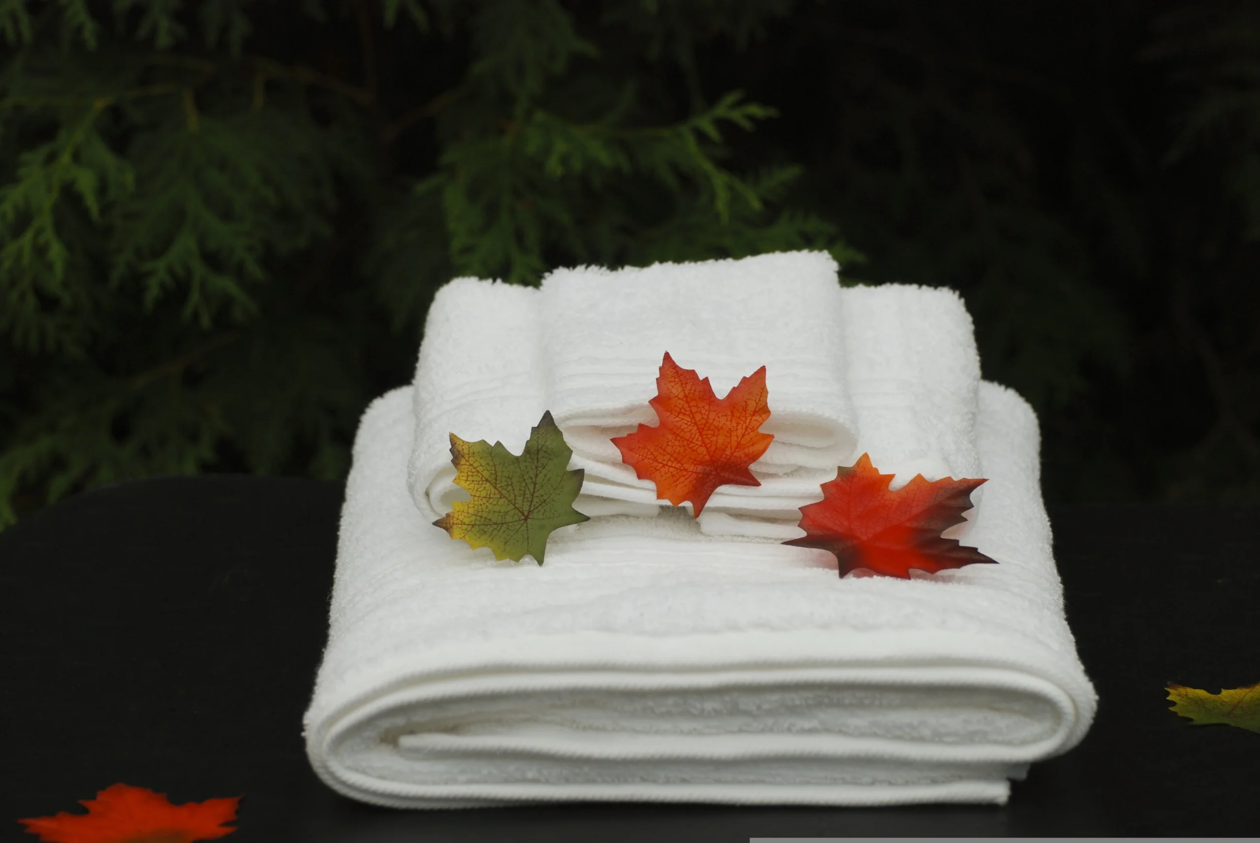 Couple Spa experience at Amore Luxury Spa in Sector 8C Chandigarh.